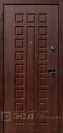 Фото «Уличная дверь №18»