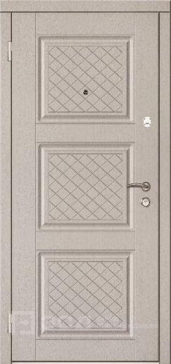 Фото «Дверь Порошок №47»